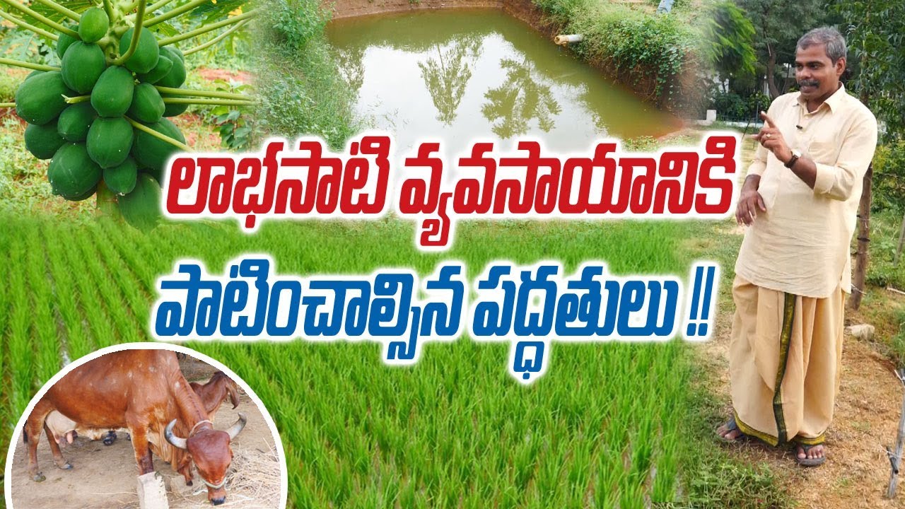 Best Agriculture Practices for Sustainable Income || Rytunestham ...
