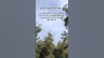 #تلاوة_خاشعة #ياسر_الدوسري #islamicvideo #islamicstatus #quran #reels #اكسبلور #لايك