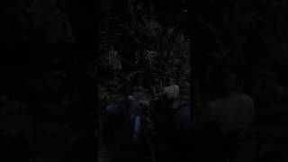 Кто-нибудь, заберите у меня этих лошадей (Сможете ли вы пройти Red Dead Redemption 2, играя за па...