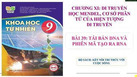 KHTN 9 Bài 39: Tái bản DNA và phiên mã tạo RNA - KNTTVCS