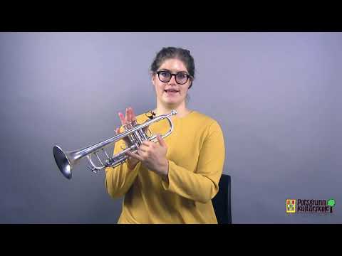 Video: Hvordan Spille Horn