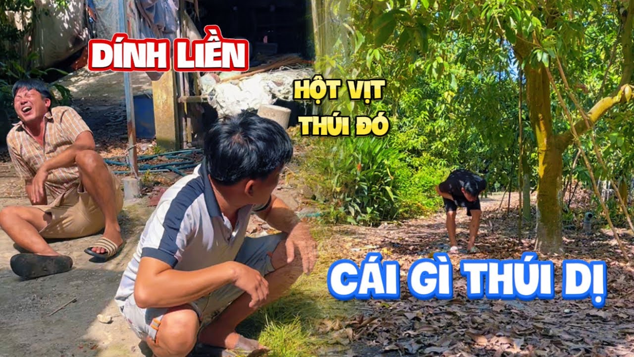 Tưởng Gặp Kèo Thơm Ai Ngờ Thúi 3 Ngày Chưa Hết | HoàiPhong TV