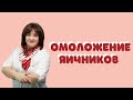 Омоложение яичников - Др. Елена Березовская