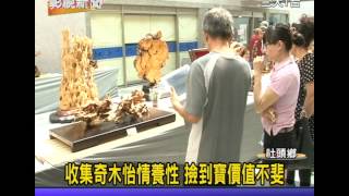 1021206 09收集奇木怡情養性 撿到寶價值不斐
