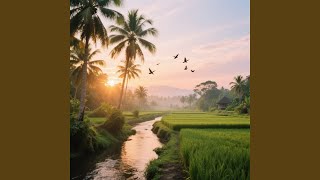 Gentle Daybreak Guitar Harmony