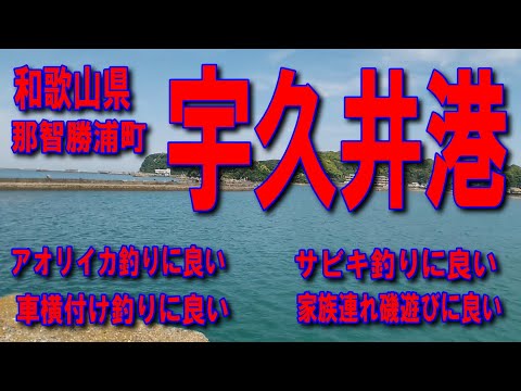 #23和歌山県宇久井港ファミリー家族連れ磯遊び釣りに良し車横付け釣りに良し手軽に磯釣り出来ますファミリー家族連れサビキ釣りに良し階段を上ると素敵な磯があります沖の堤防に数人の釣り人がいます釣りポイント