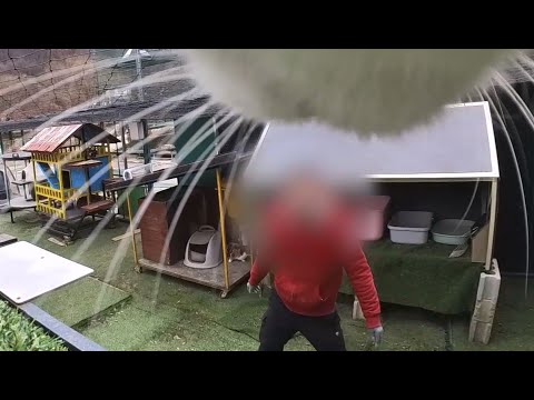 술래잡기