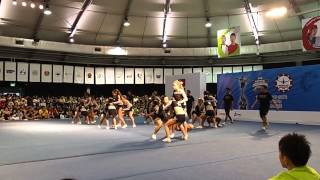 Decs All Stars Ceaco 2013