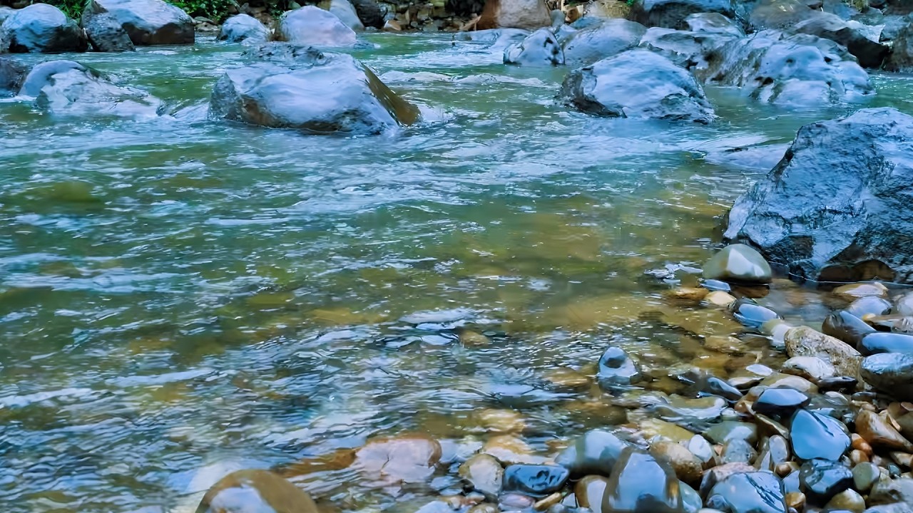 Relaxing River Water Flow and Bird Sounds for Deep Sleep, Meditation, Study Focus  & Stress Relief
