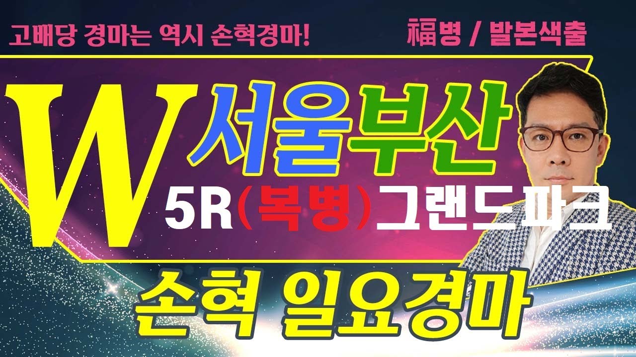 고배당 경마는 역시 손혁 경마 11/23(일)서울/부산 복병마 내용을 확인해 보세요!!