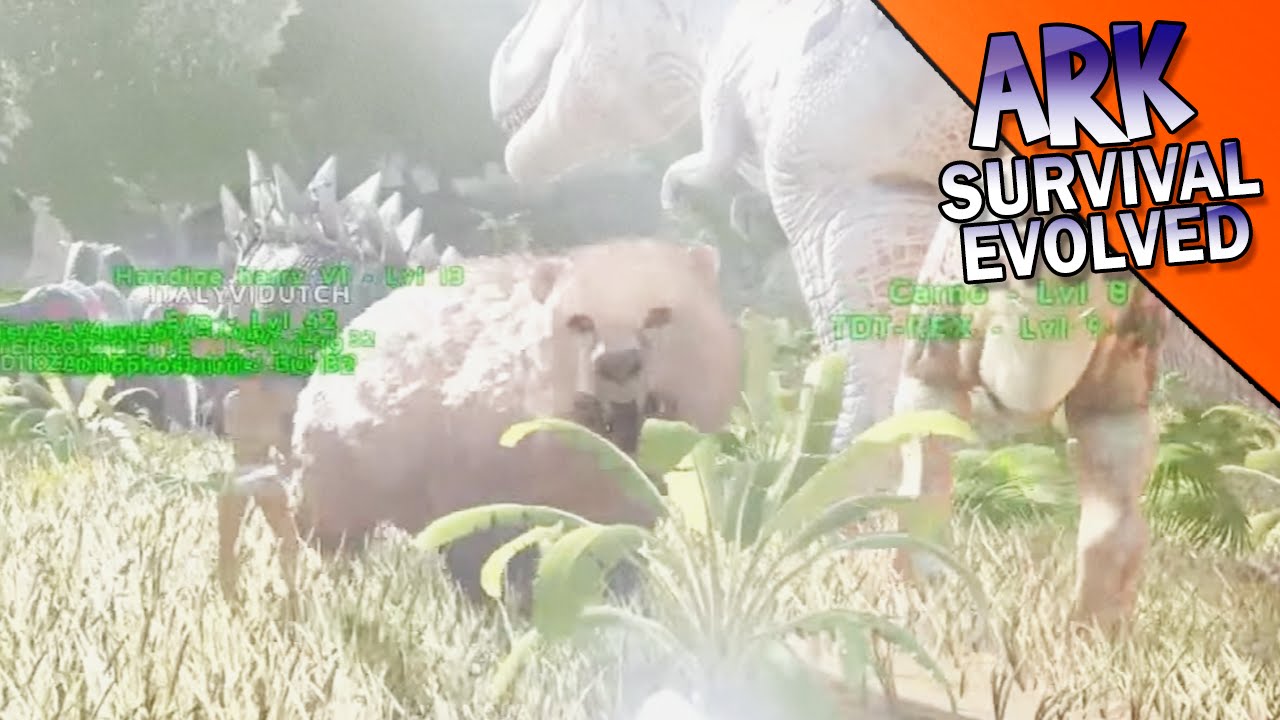 PAS OP EEN BEER!! ARK Survival Evolved 28 YouTube