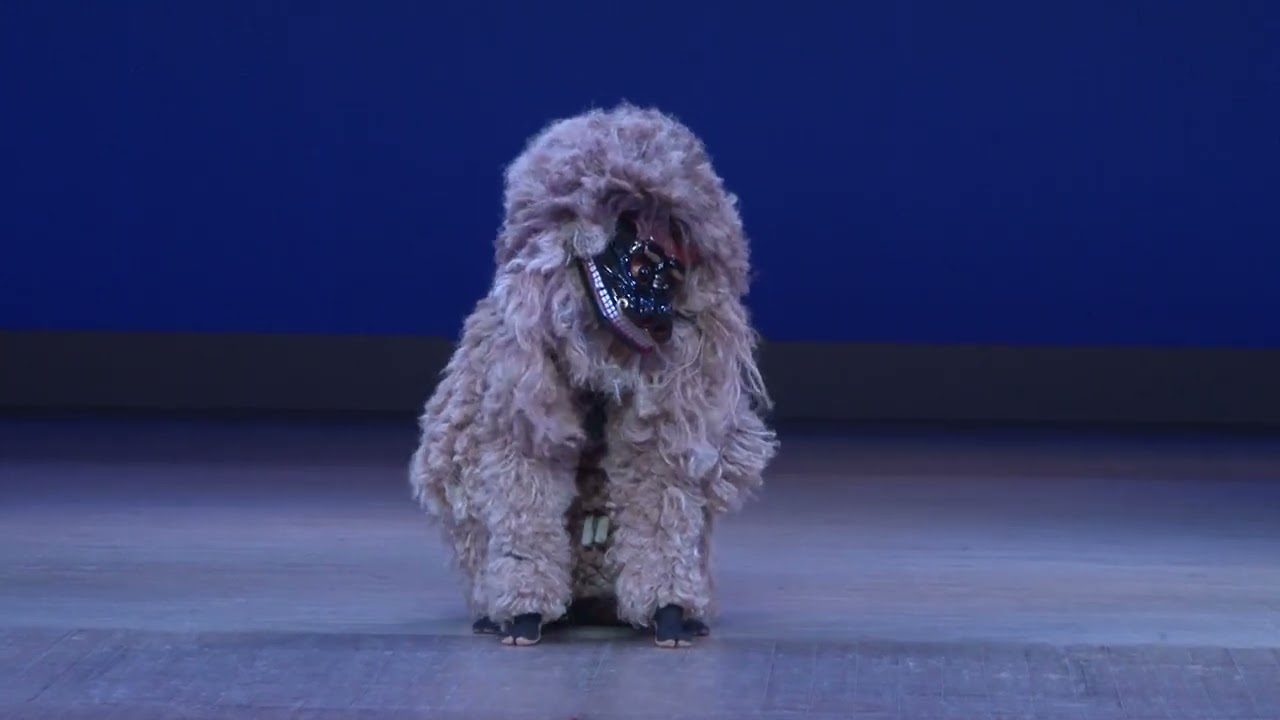 第10回 特選 沖縄の伝統芸能／獅子舞（並里区）