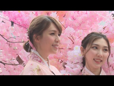《姊妹淘》孫慧雪和服上陣介紹打卡熱點 吳紫韻曾被誤認為韓國人｜孫慧雪｜吳紫韻