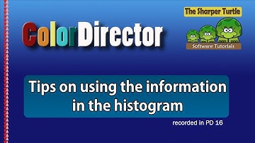 ColorDirector - Tips on using the historgam