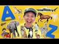 A to Z Animals with Matt | Learn 50 Wild Animals A to Z | Dream English Kids
