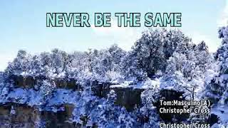 Video thumbnail of "Christopher Cross - Never Be The Same Karaoke"