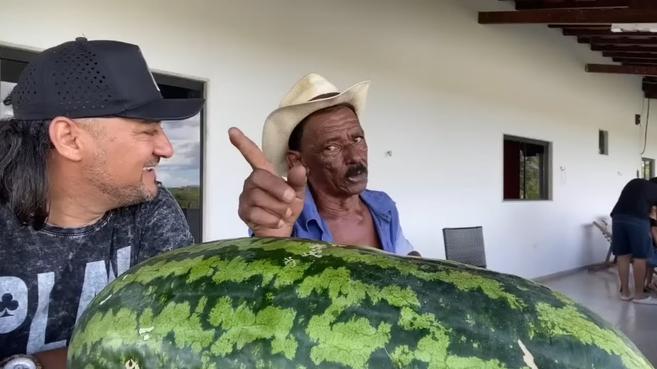 Tiringa surpreende charlles com a melancia gigante 😂 comédia selvagem 