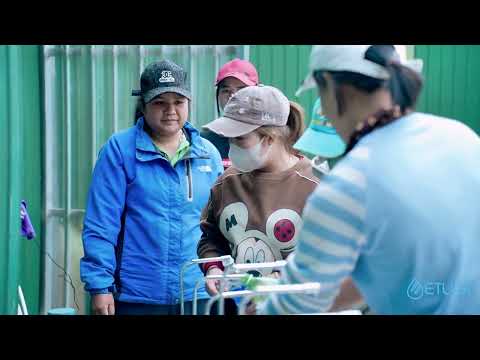 Etugi – Từ “nước tốt” đến bằng chứng nghiên cứu trên người