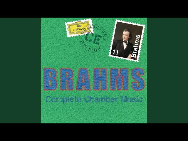 Brahms - Sonate pour violon et piano n°1"Regenlied": Finale : Augustin Dumay / Maria Joao Pires