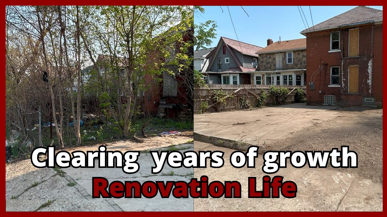 Clearing the back yard jungle and dumping ground at the auction house