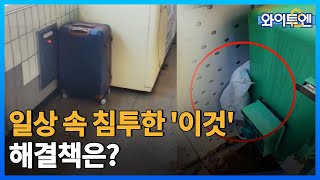 [클립본] 보이스피싱 도구 '중계기' 이곳저곳…통신사도😠 나서 잡는다 ㅣ #와이투엔 [107회] /YTN2