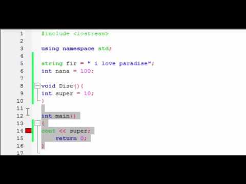 #10 c++,Global and Local variable