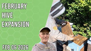 February Hive Expansion - Jacksonville FL Zone 9b
