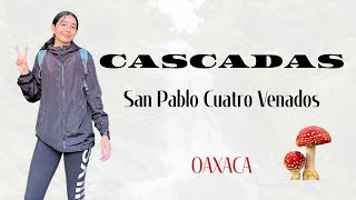 VISITANDO CENTRO ECOTURÍSTICO SAN PABLO CUATRO VENADOS, OAXACA 🦌🌲