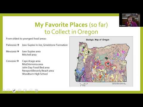 Oregon Fossil Collecting