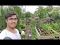 Edible Garden Tour- part 1 (2020)