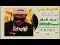 هلا ويس أرنب نط