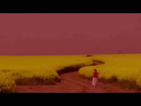 YouTube preview
