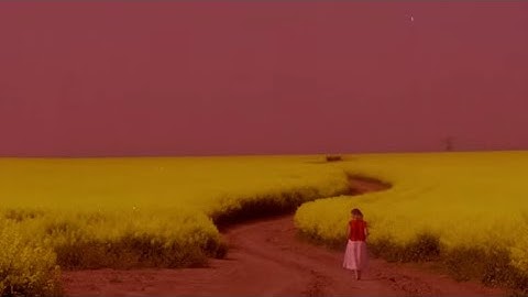 First ever ASMR generated by Google veo 3