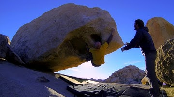 Joshua Tree : Double Orifice V5