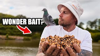 Is this the BEST BAIT of 2026