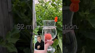 Simple COCKTAIL business idea from home made $2M!!