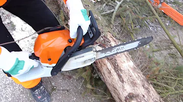 Wie Säge ich einen Baumstamm auf?