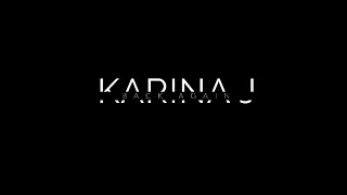 Back Again - Karina J.