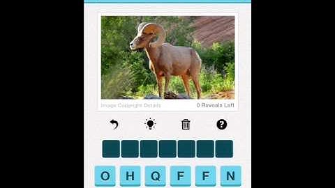 Wubu Whats The Animal Level 151-160 Answer Guide