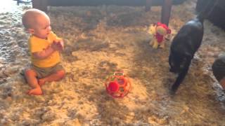 Mason Learning To Crawl