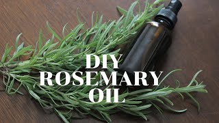 DIY Rosemary Oil for Hair | Rosemary Oil For Extreme Hair Growth!