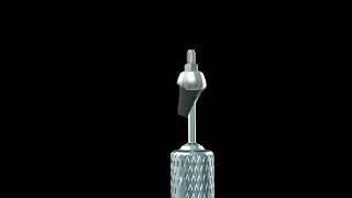 6  Delivery of Angled Abutment