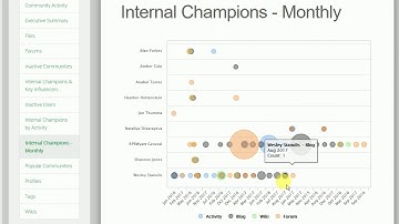 IBM Connections Monitoring with VitalSigns - Internal Champions Report