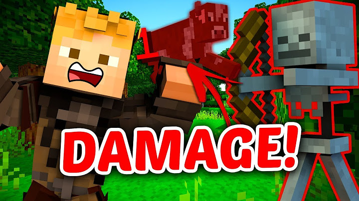 Als ik damage krijg in Minecraft stopt deze video!