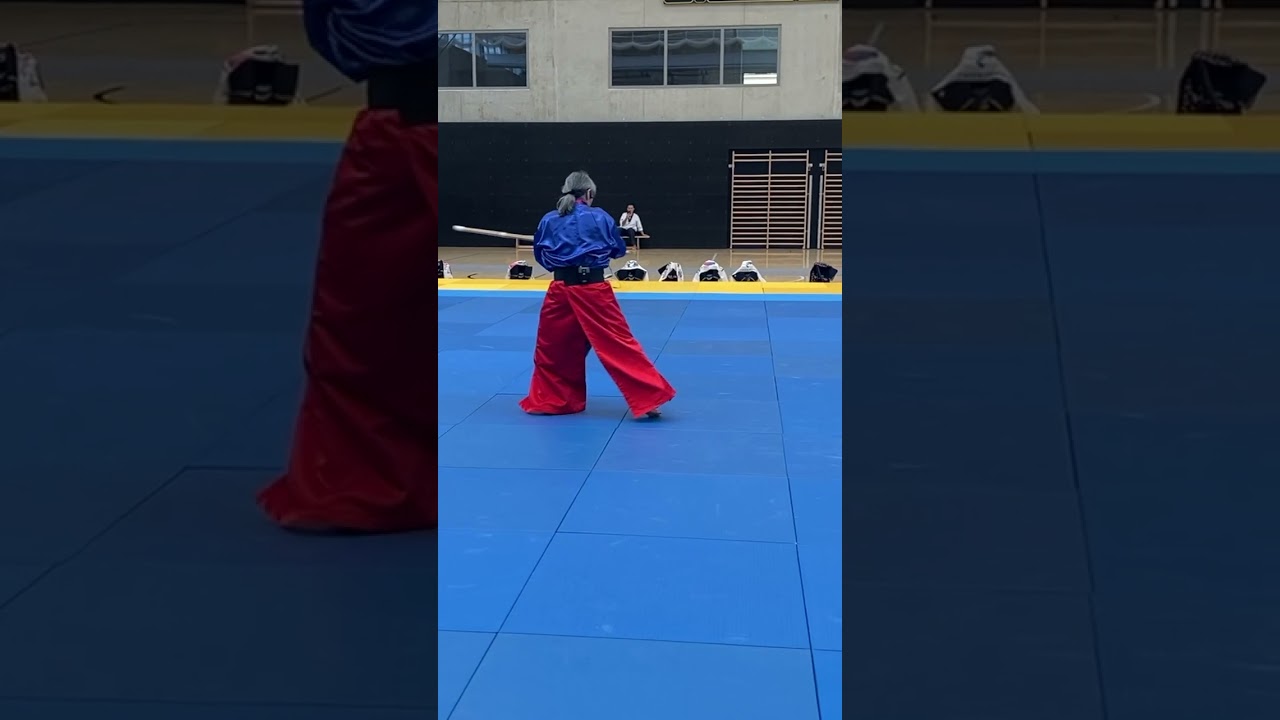 Fig-8 Spinning Cut by HwaRangDo® GM Taejoon Lee's Sword Spinning Seminar 2023 Luxembourg