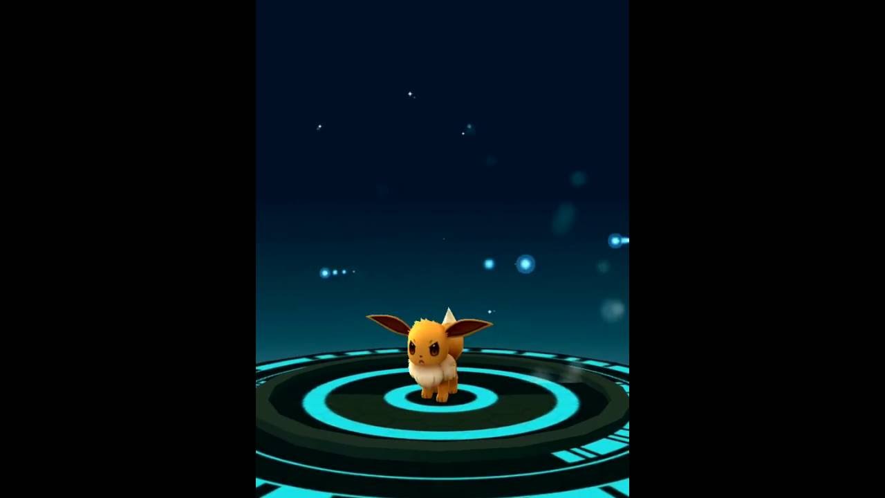 Pokemon GO Gameplay:gezieht Evoli zu Aquana, Flamara und Blitzand Entwickeln pokemongo deutsch