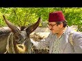 غوار اشترى حمار طلع بيحكي وغير حياتو للاحسن مسلسل عودة غوار 
