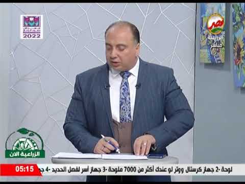 الوزراء يوضح موقف الاكتفاء الذاتي من القمح خلال 7 ايام