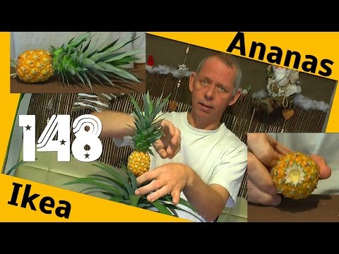 Video: Welcher Teil der Ananas ist essbar?