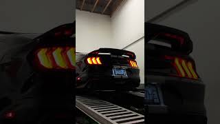 One Night Dyno Madness PART 2! | BMW M8 Competition, M5, Shelby GT500, and Mercedes-Benz AMG E63 S